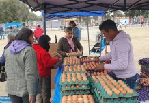 “El Mercado en tu barrio” llega al Delmi