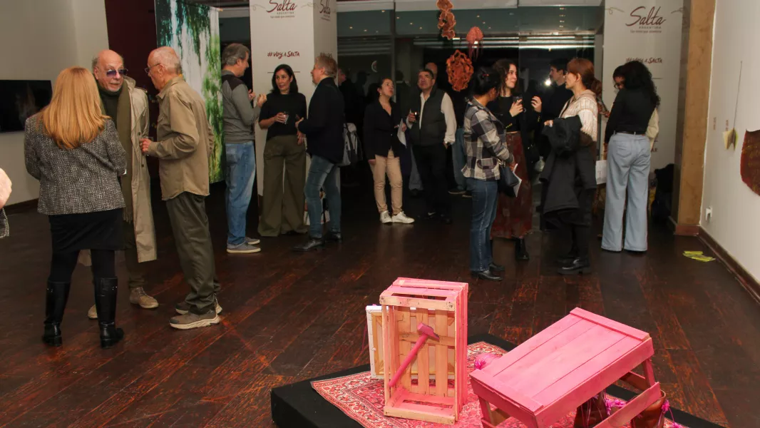24170-casa-de-salta-inaugura-ida-y-vuelta-muestra-de-arte-contemporaneo-saltenio-en-buenos-aires