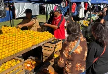 “El Mercado en tu Barrio” llega a la zona sur con precios promocionales y servicios