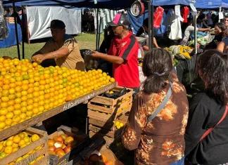 “El Mercado en tu Barrio” llega a la zona sur con precios promocionales y servicios